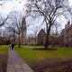 Image for article titled Yale Officially Declares 'Nonconsensual Sex' Not That Big of a Deal